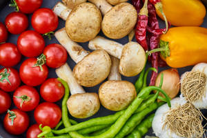 Platlegging Sampioene Estetiek — Sampioen-estetiek Muurpapier