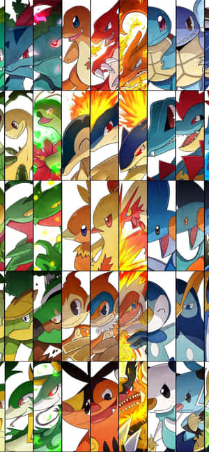Pokemon Evolusie Collage met Meganium — Oppo Reno16 F Muurpapier