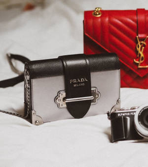 Prada En YSL Sakke muurpapier — Oppo Find N5 Muurpapier