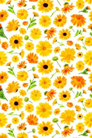 Pragtige Blomfoonagtergrond — Blomfoon Muurpapier