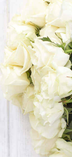 Wit Rose Iphone — iPhone 14 Pro Max Muurpapier