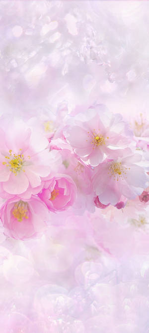 Beautiful Spring — iPhone 13 Pro Max Muurpapier