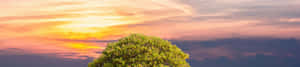 4K Natuur-agtergrond — 4K natuur GIF Muurpapier