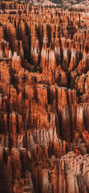 Pragtige Rooi Spitsrotse by Bryce Canyon Nasionale Park — Vivo V70 FE Muurpapier