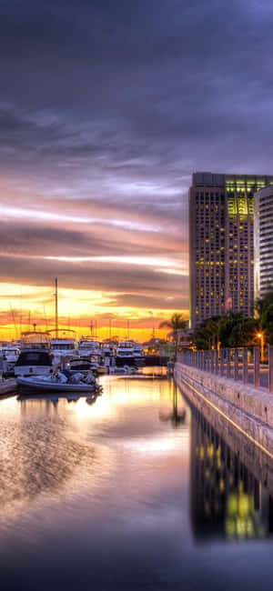 San Diego iPhone [agtergrond] — Tecno Spark Go 5G Muurpapier