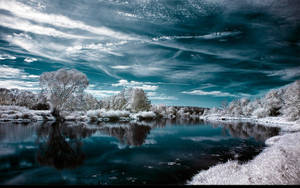 Winter Blou Meer wat bome weerkaats muurpapier.