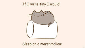 Pusheen wat op malvalekker slaap-agtergrond — Skermbewaarder Muurpapier