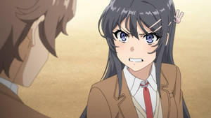 Rascal Does Not Dream Of Bunny Girl Senpai