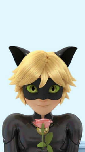 Cat Noir prente — Cat Noir Muurpapier