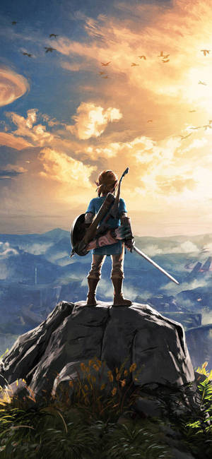 HD karakterbeeld van Link Breath Of The Wild agtergrond — iPhone Xs Muurpapier