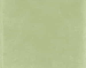 Rustige Saliegroen Estetiese Agtergrond — Salie groen estetiese GIF Muurpapier