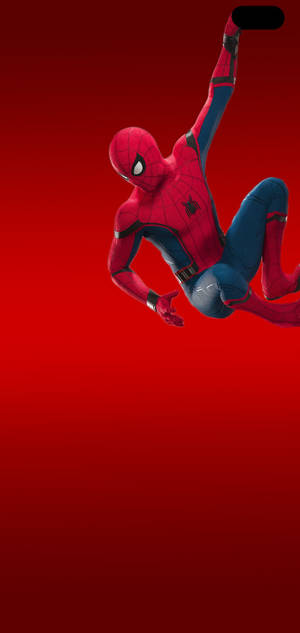 S10+ Wonderlike Spinnekopman-agtergrond. — iPhone 13 Mini Muurpapier