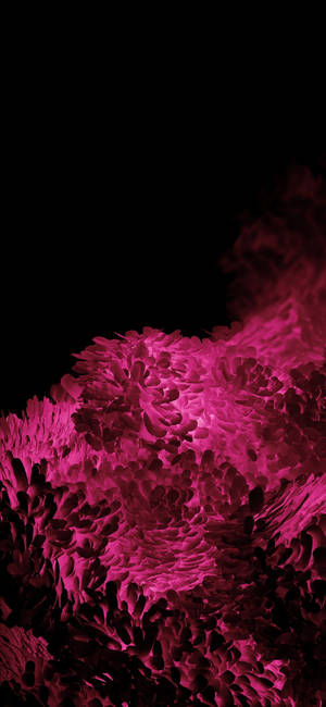 Samsung S20 Ultra Pienk Spons — Samsung galaxy s22 Muurpapier