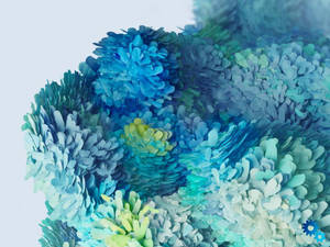Samsung S20 Ultra Blomblaar Vorm — Blom esteties Muurpapier