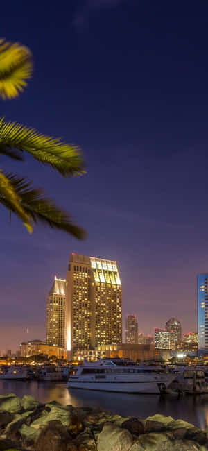San Diego iPhone [plakpapier] — Tecno Spark 40C Muurpapier