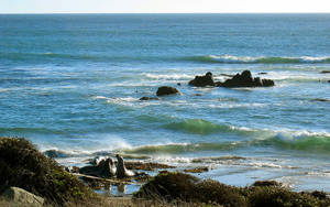 San Simeon Natuurlewe — Oseaan Muurpapier