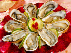 Seekos vars oester muurpapier — 4:3 Muurpapier