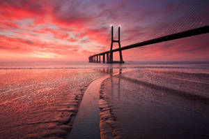 Vasco da Gama-brug Chromebook agtergrond