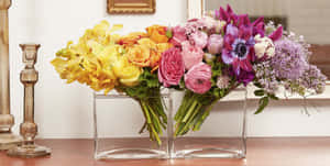 Blomfoto's — Bloem Muurpapier
