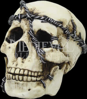 Skull Met Doringdraad - Skulls En Doringdraad