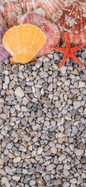 Iphone X Somer-agtergrond — Oppo F33 Pro Muurpapier