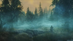 Skyrim Ultra HD — Donker woud Muurpapier