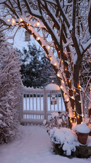 Knus Winter Tumblr