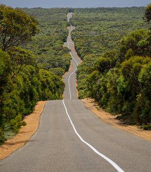 Highway 1 Of Australia-agtergrond — Vivo X Fold3 Pro Muurpapier