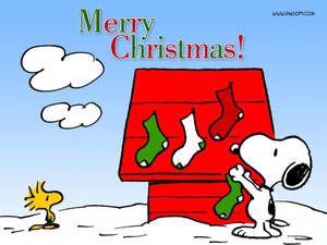 Snoopy Kersfees Huis Sokkies Agtergrond — Snoopy kersfees Muurpapier