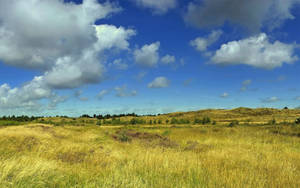 Somerveld met groen gras helder lug en wit wolke.