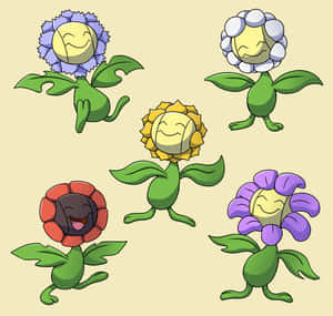 Sonblom saam met ander blomvariasies — Blomme Muurpapier