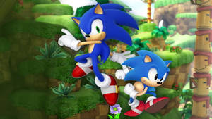 Koel Sonic — Koel Sonic Muurpapier