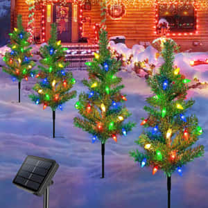 Kersboom prente — Winter Muurpapier