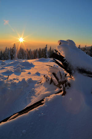 Sonsondergang op winter agtergrond