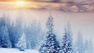 winter wonderland Agtergrond — Winters Estetika Muurpapier