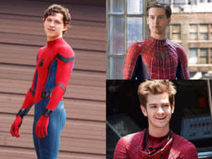 Spiderman-prente — Spiderman Muurpapier