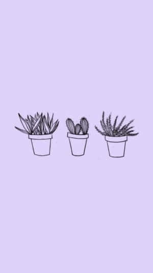Laventel Pastelpers Aëstetiese Agtergrond — Lavender estetika Muurpapier