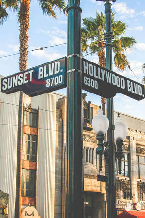 Sunset Boulevard en Hollywood Boulevard muurpapier — Sononderlaan Muurpapier