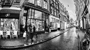 Swart en Wit Estetiese Nat Straat — Estetiese swart en wit Muurpapier