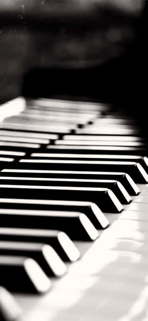 Musiekinstrumente Foto's — Honor Win RT Muurpapier