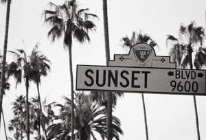 Swart en Wit Sunset Boulevard-agtergrond — Sononderlaan Muurpapier
