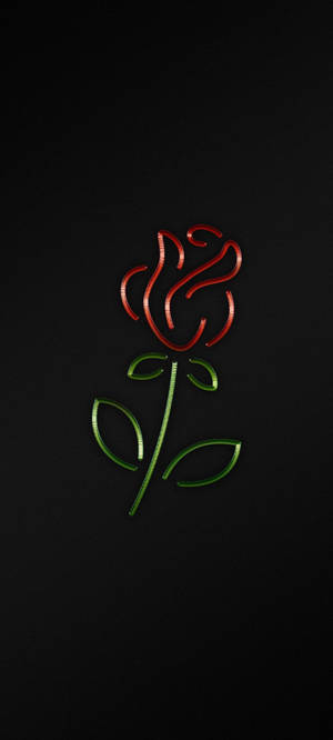Swart iPhone roos-agtergrond — 1440x3200 Muurpapier