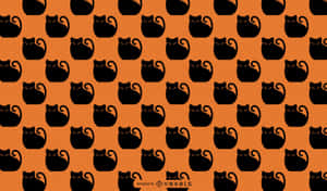 Swart Kat prente — Cat Noir Muurpapier
