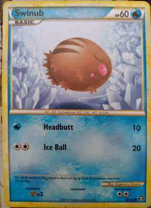Swinub 2010-kaart — Pokemon Foon Muurpapier