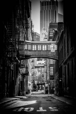 Tribeca New York Swart en Wit — Xiaomi Pad 8 Muurpapier