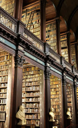Biblioteek Prente — Galaxy Tab A Muurpapier