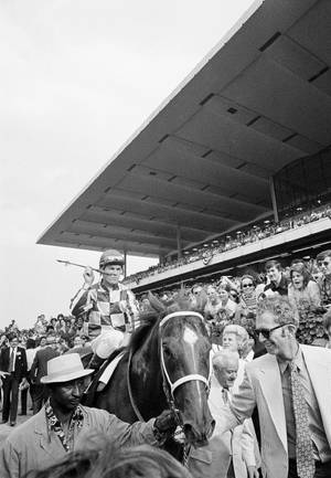 Secretariat Blye Skare-agtergrond — IQOO Pad Muurpapier