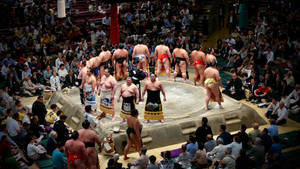 Japannese Sumo stoeiarena muurpapier — Pro Display XDR Muurpapier