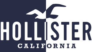 Tweekleurige Hollister-logo-agtergrond — 16:9 Muurpapier