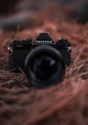 Foto van swart Pentax-kamera op 'n voëlnes-muurpapier — OnePlus Pad Muurpapier